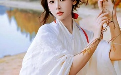 全职天下全文阅读